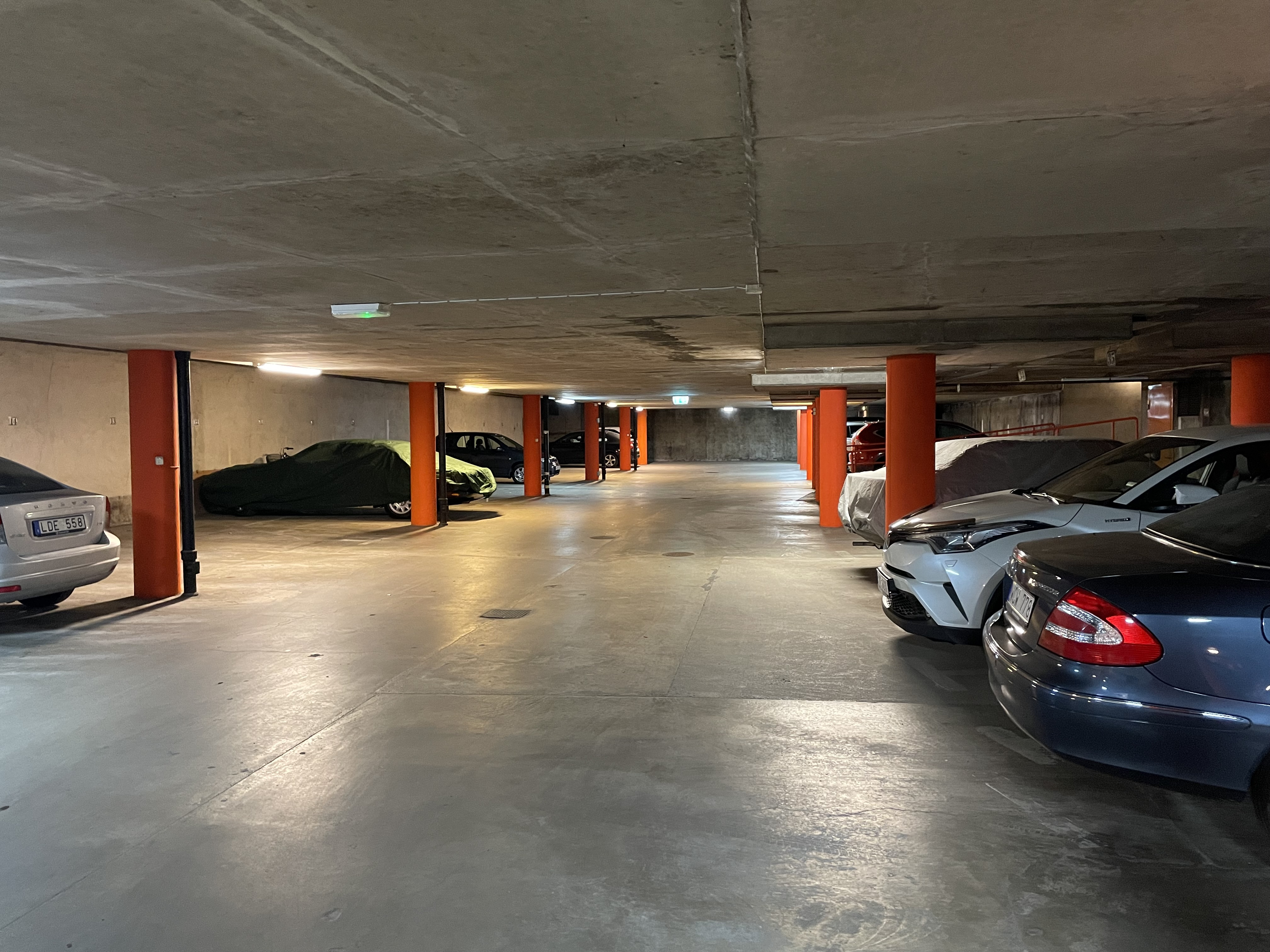 IMG 0214