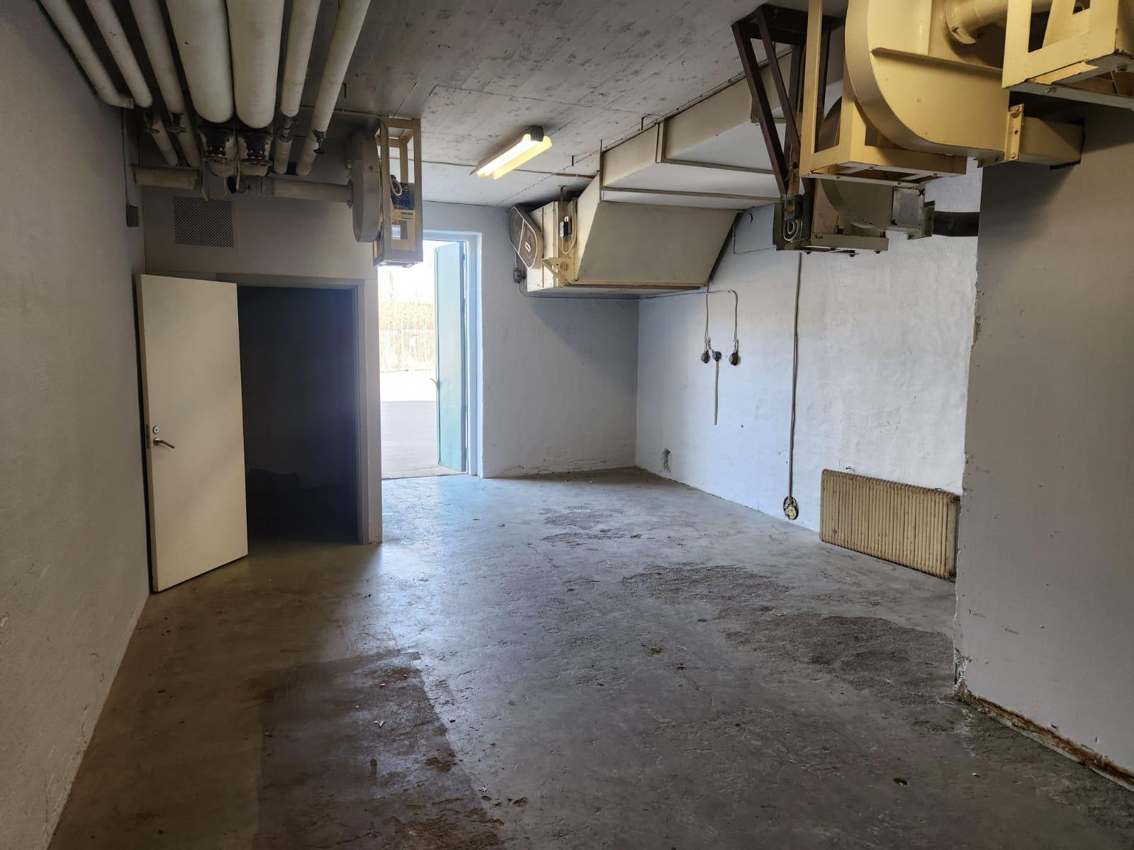 Whats App Image 2026 04 08 at 17 36 52